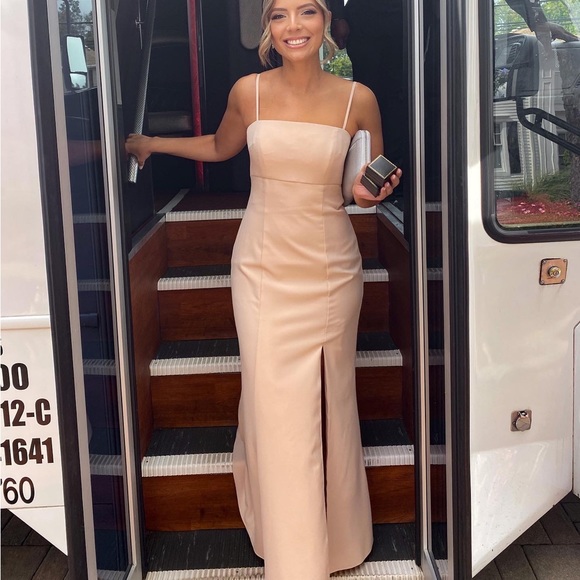 Amsale Bray Dress in Fawn - Picture 10 of 11